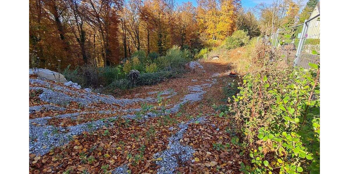 Grundstück Grünwald - 6.000.000&euro; | Angebot:25748750