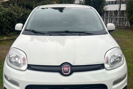 Fiat Panda 65.800 km 7.800 &euro; München 81825