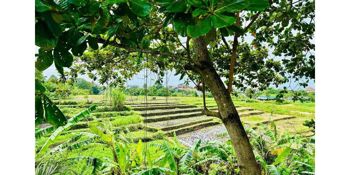 Villa München Altstadt-Lehel - 2 Zimmer, 109 m&sup2;, 179.000&euro; | Angebot:26036986