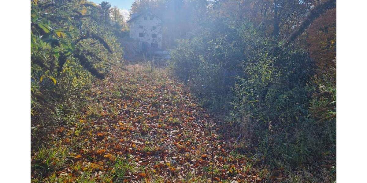 Grundstück Grünwald - 6.000.000&euro; | Angebot:25748750