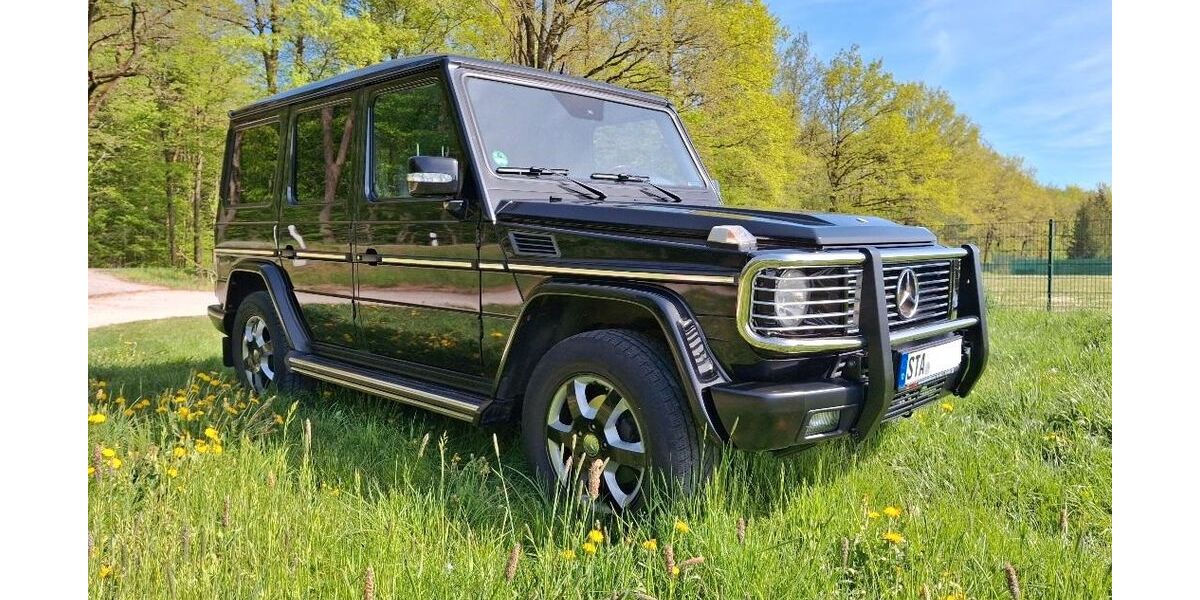 Mercedes-Benz G 270 172.000 km 54.900 &euro; Gauting 82131
