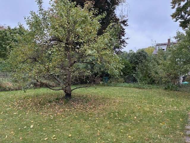 Grundstück zu verkaufen in München 1.575.000 € 671 m² zimmer