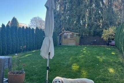 Haus zum Mieten in Grünwald 3.500 € 155 m² 5 zimmer