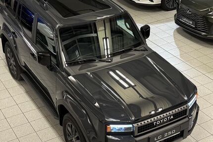 Toyota Land Cruiser 22.880 km 88.989 &euro; Poing bei München 85586