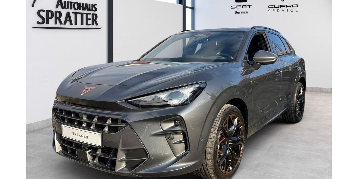 Cupra Terramar 1.200 km 41.990 &euro; München 81249