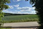 Einfirsthof mit Potenzial und altem Baumbestand – Nähe Dingolfing