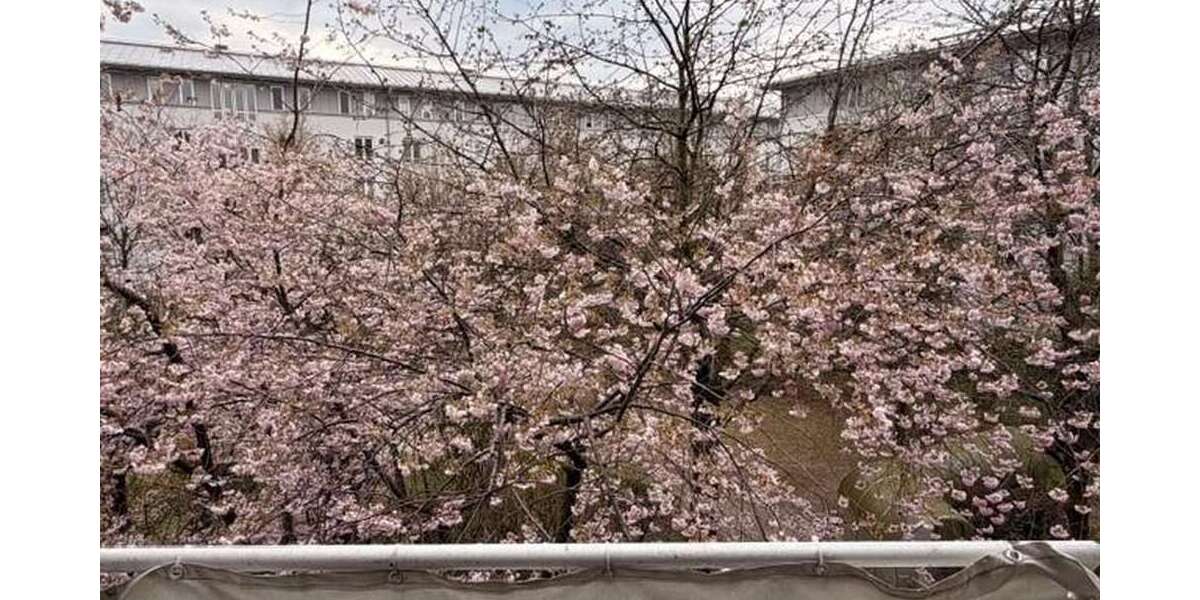 Etagenwohnung München Moosach - 1.5 Zimmer, 41 m&sup2;, 1.050&euro; | Angebot:26242710