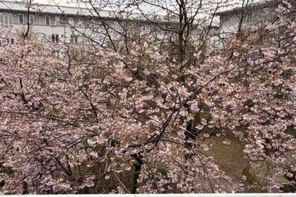 Wohnung München Moosach - 1.5 Zimmer, 41 m&sup2;, 1.050&euro; | Angebot:26242710