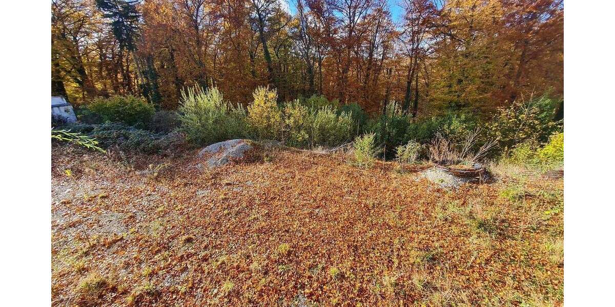 Grundstück Grünwald - 6.000.000&euro; | Angebot:25748750