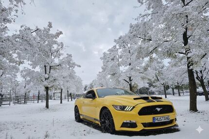 Ford Mustang 98.000 km 19.300 &euro; München 80937