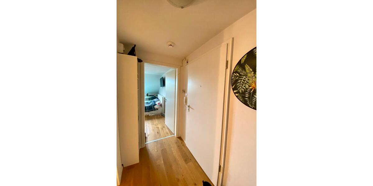 Dachgeschoßwohnung München Au-Haidhausen - 1.5 Zimmer, 35 m&sup2;, 1.650&euro; | Angebot:26579856