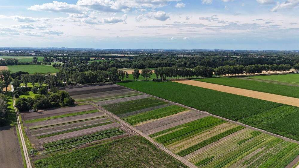 Doppelhaushälfte München Feldmoching-Hasenbergl - 4 Zimmer, 108 m&sup2;, 949.000&euro; | Angebot:25051812