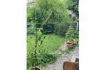 Erdgeschoßwohnung München Schwabing-West - 2 Zimmer, 55 m&sup2;, 585.000&euro; | Angebot:27006654