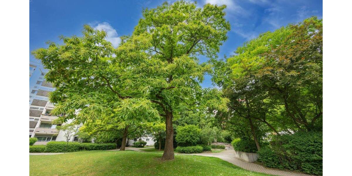 Etagenwohnung Germering Neugermering - 3 Zimmer, 76 m&sup2;, 385.000&euro; | Angebot:26903632