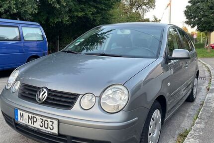 VW Polo