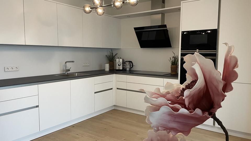 Möblierte-Wohnung | Luxus-Küche | Balkon | XL-TG-Stellplatz 4 zimmer