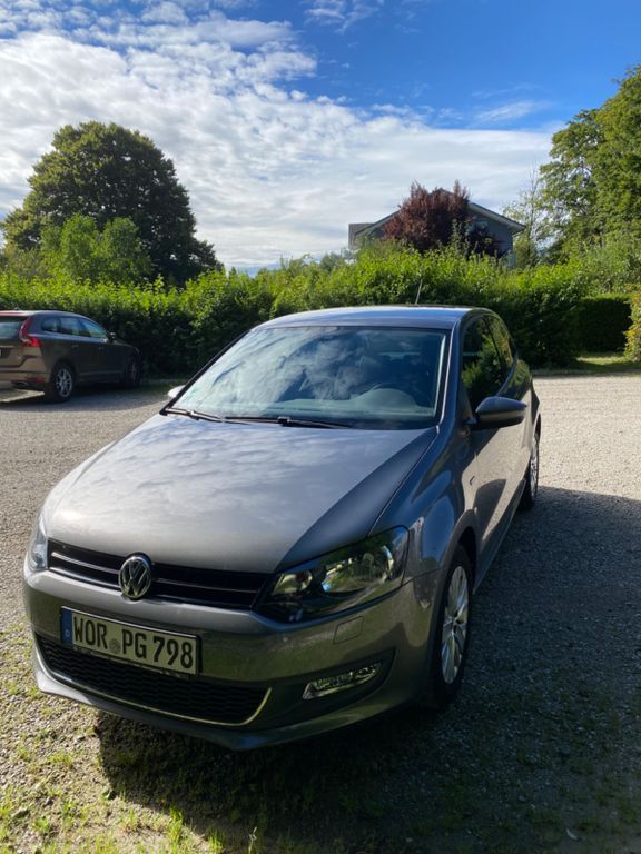Polo