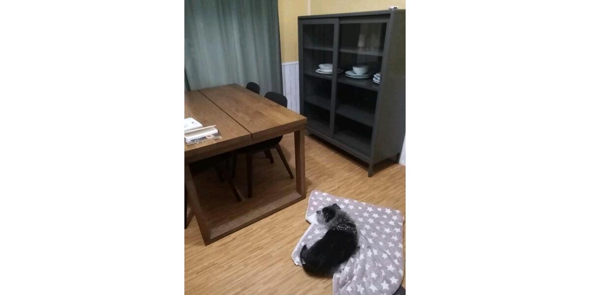 Einfamilienhaus München Am Hart - 2 Zimmer, 40 m&sup2;, 39.000&euro; | Angebot:25510300