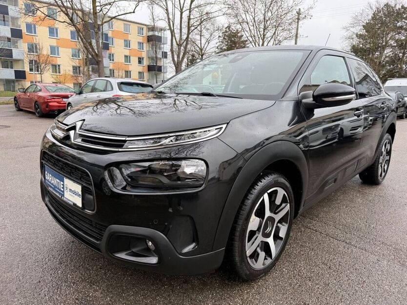 C4 Cactus