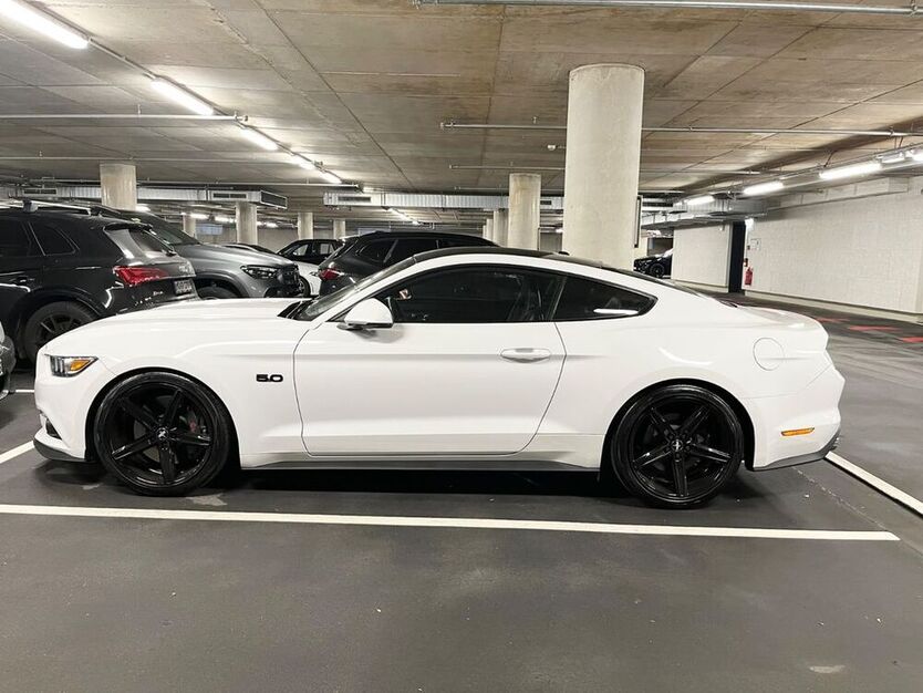 Mustang