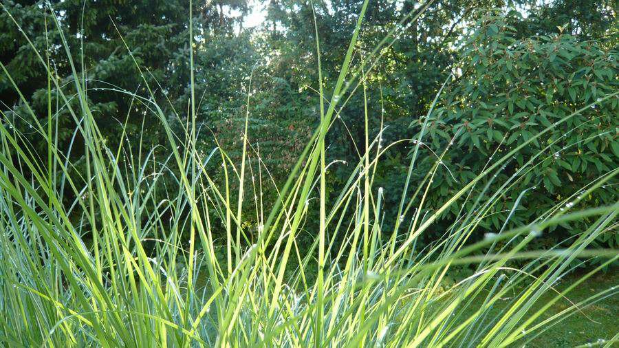 Grundstück Ottobrunn - 1.100.000&euro; | Angebot:23352585