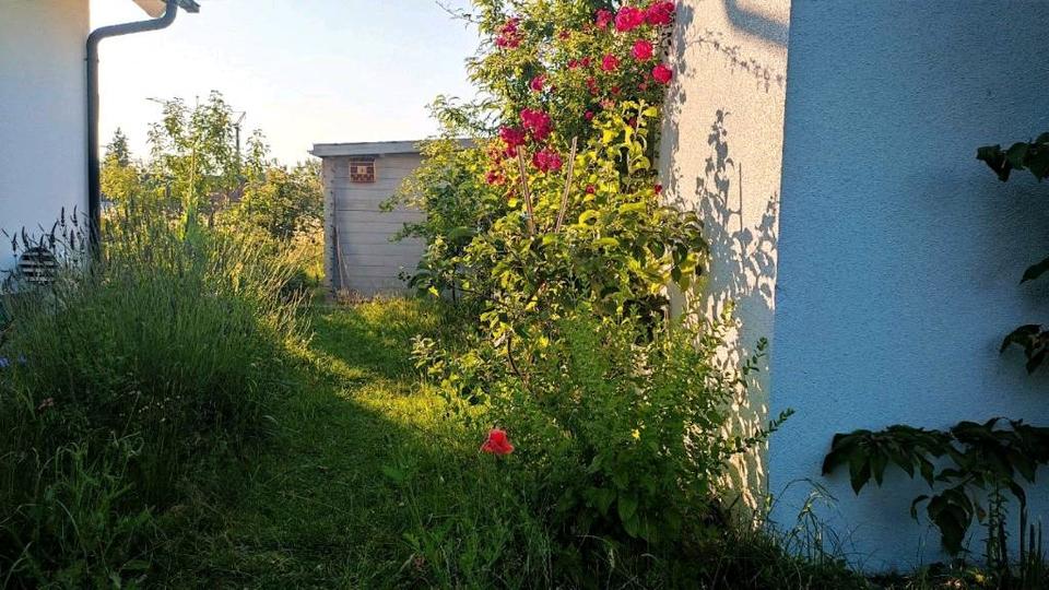 Doppelhaushälfte München Feldmoching-Hasenbergl - 4 Zimmer, 100 m&sup2;, 635.000&euro; | Angebot:25636823