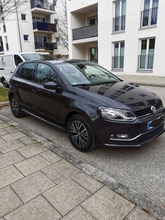 Polo