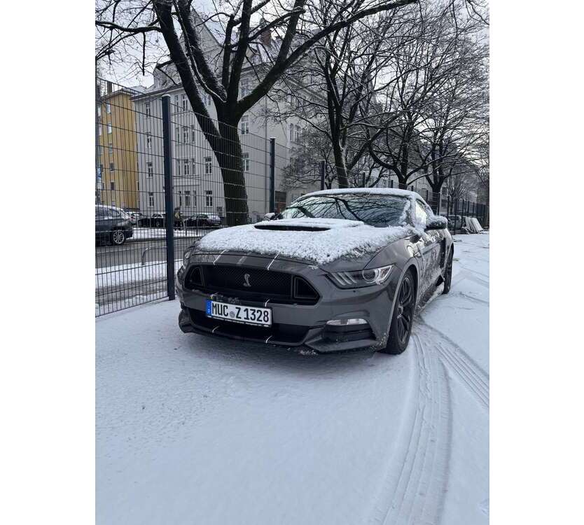 Mustang