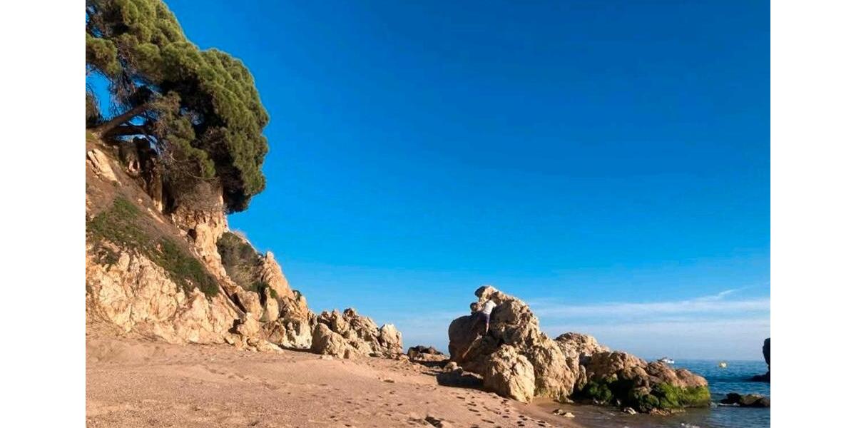 Einfamilienhaus München Am Hart - 2 Zimmer, 40 m&sup2;, 39.000&euro; | Angebot:25510300