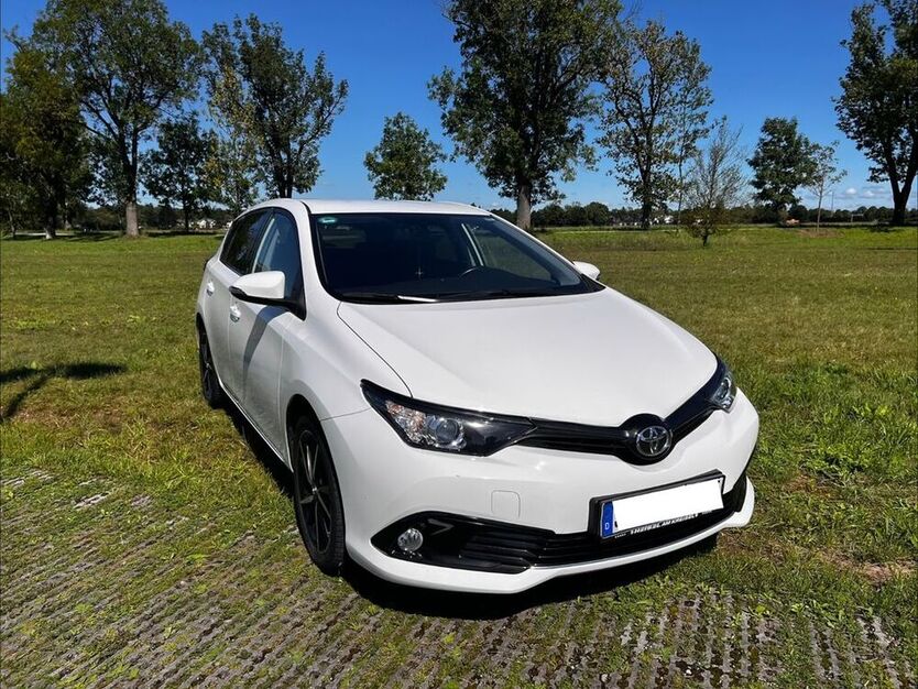 Auris