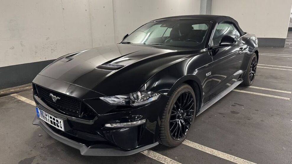 Mustang