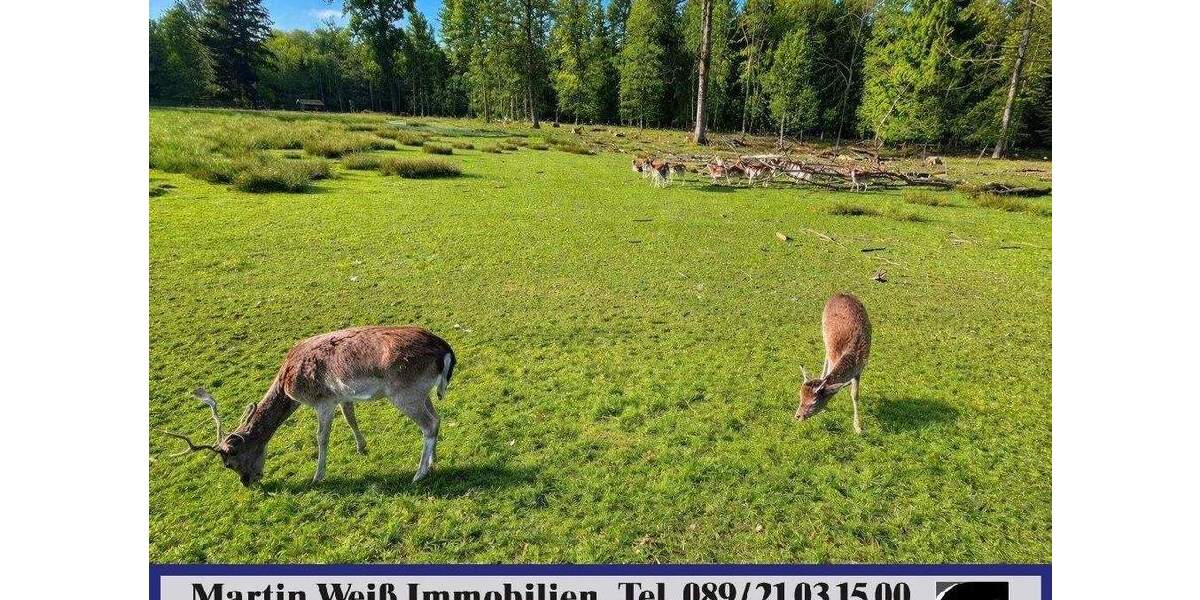 Grundstück Grünwald - 1.690.000&euro; | Angebot:26246743