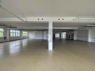 VIELSEITIGE NUTZUNG-PRODUKTIONLAGERHALLE 2.5 zimmer