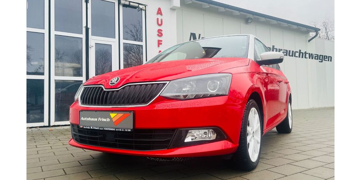 Skoda Fabia 19.800 km 12.590 &euro; Forstinning bei München 85661