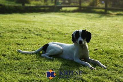 *Preisreduzierung* Exklusives Baugrundstück mit Altbestand in Germerings bester Lage zimmer