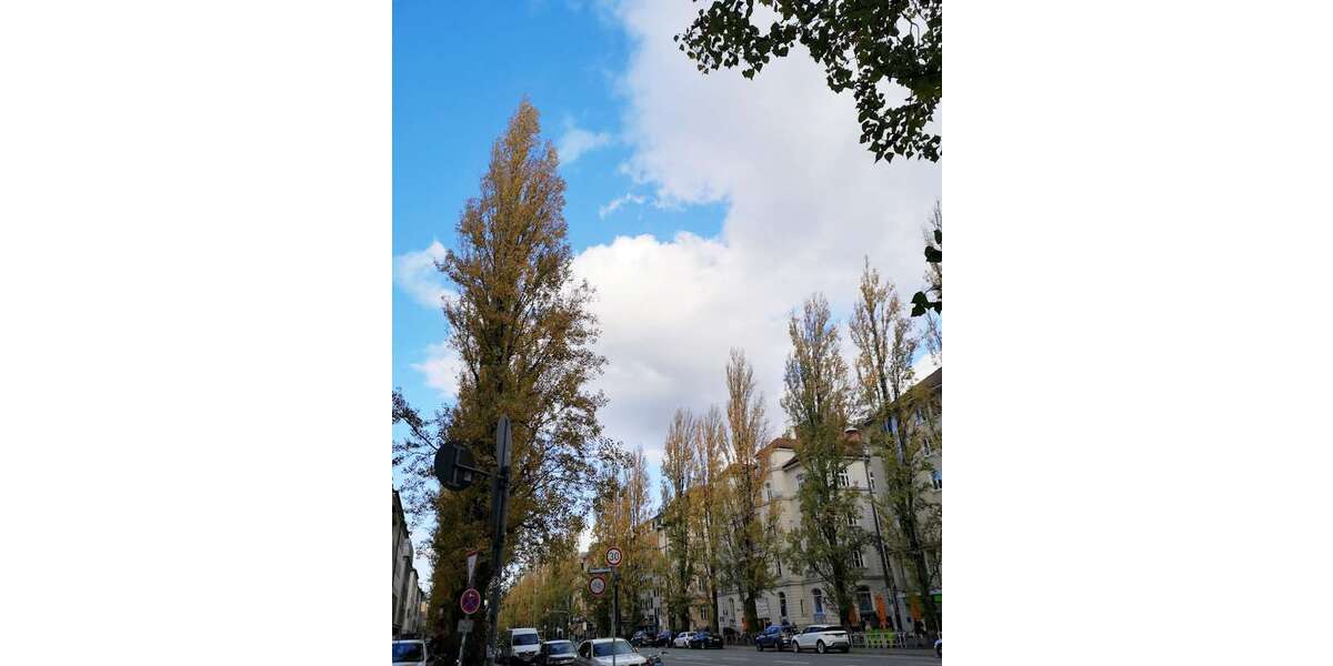 Gewerbeobjekt München Schwabing - 1.695&euro; | Angebot:26448882