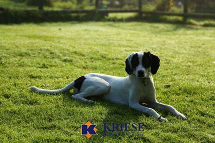 Grundstück zu verkaufen in Germering 600.000 € 356.5 m² zimmer