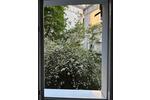 Erdgeschoßwohnung München Schwabing-West - 2 Zimmer, 55 m&sup2;, 585.000&euro; | Angebot:27006654