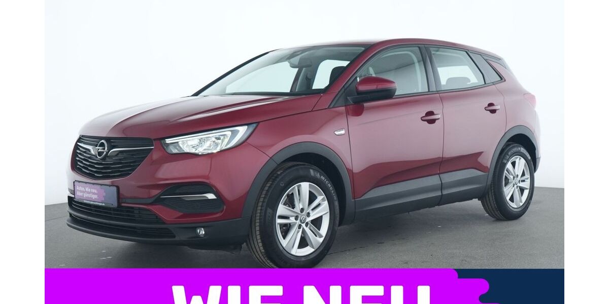 Opel Grandland (X) 29.875 km 17.735 &euro; Garching bei München 85748