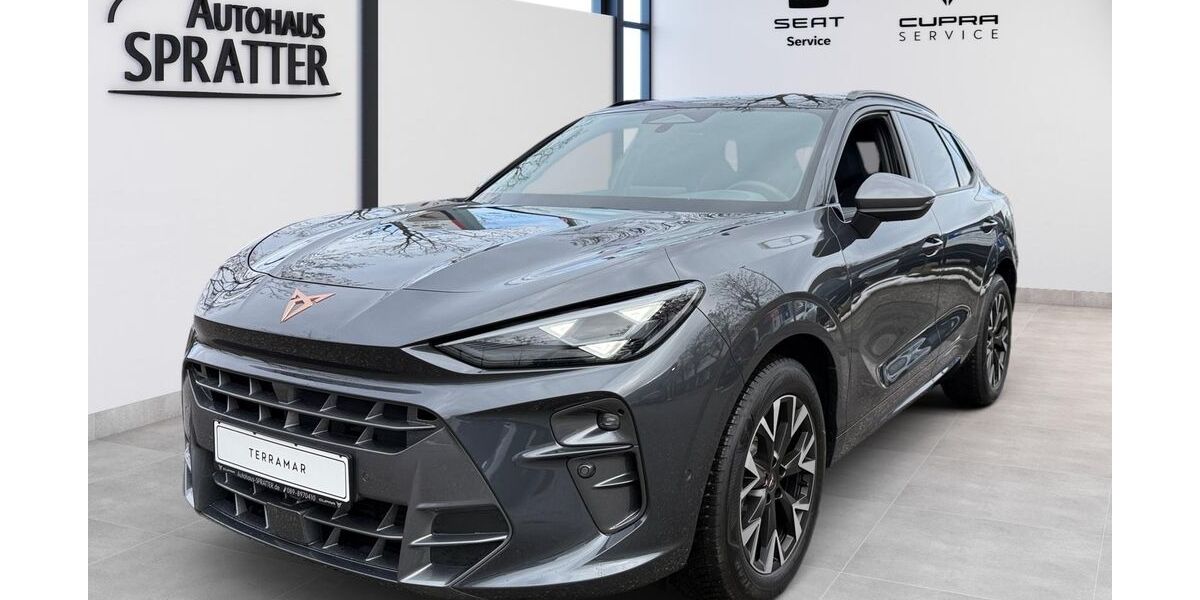 Cupra Terramar 1.300 km 40.990 &euro; München 81249