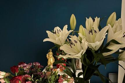 Wohnung Untermiete 1 zimmer