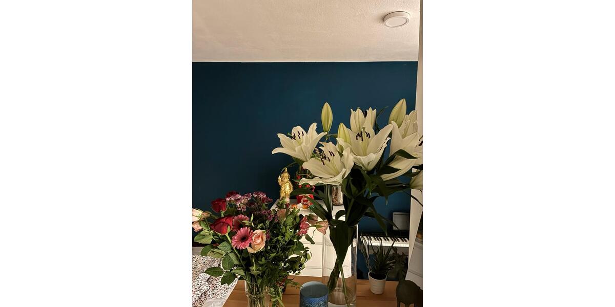 Wohnung Untermiete 1 zimmer