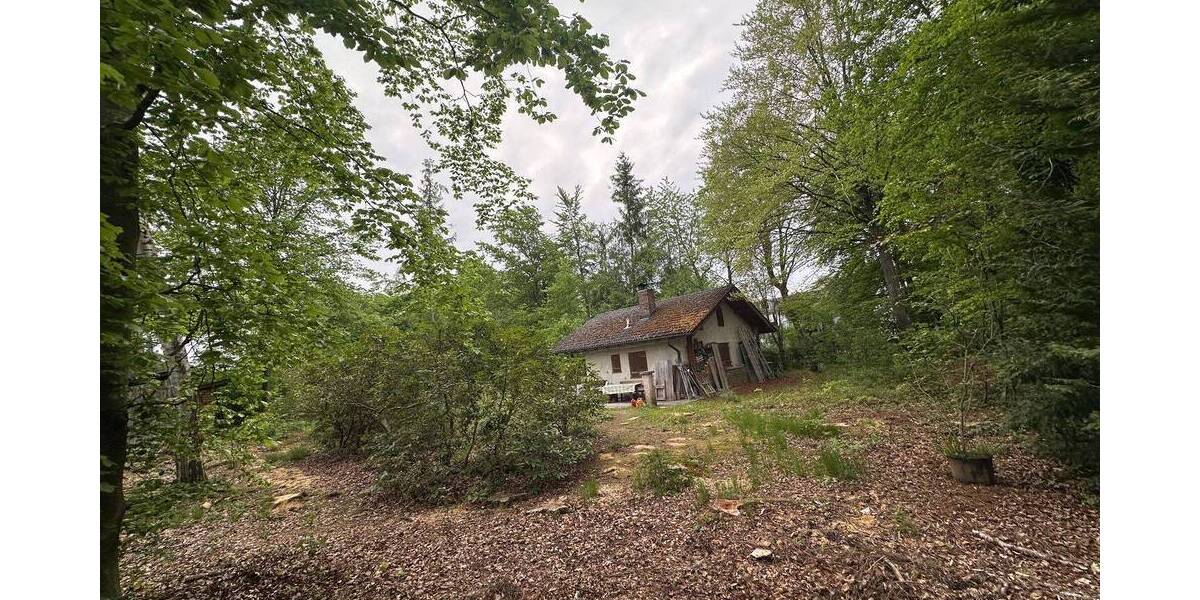 Grundstück Grünwald - 4.590.000&euro; | Angebot:25801557