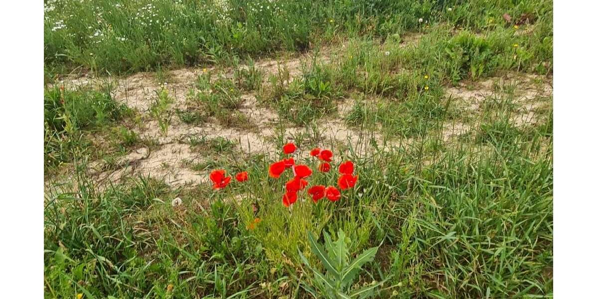 Grundstück Germering - 485.000&euro; | Angebot:25194378