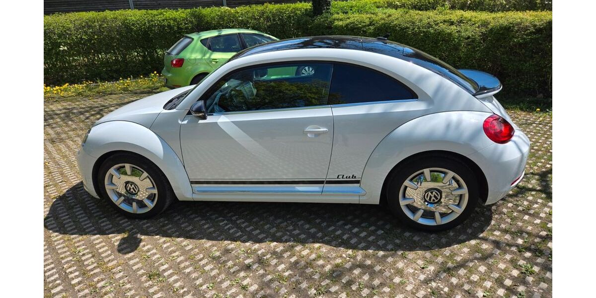 VW Beetle 95.000 km 13.800 &euro; München 81248
