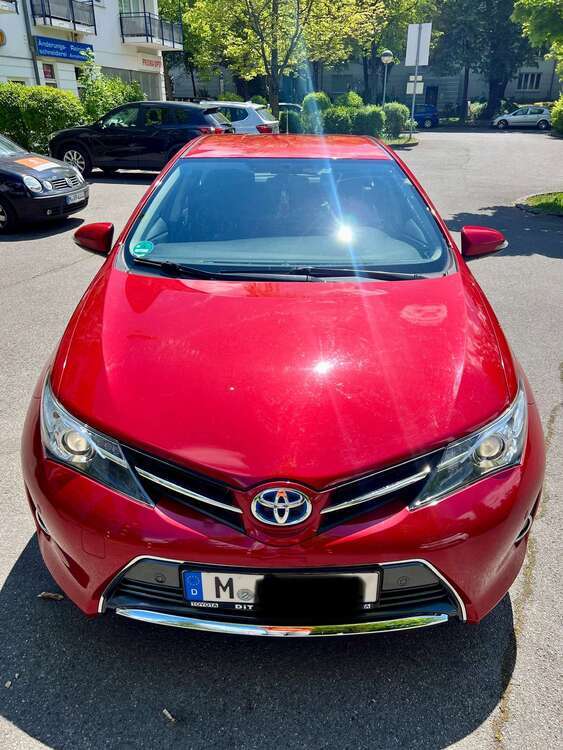 Auris