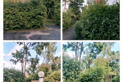 4 Zimmerwohnung, Provisionsfrei, Sendling München 4 zimmer