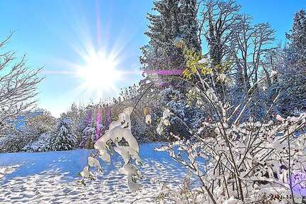 Grundstück Planegg - 2.950.000&euro; | Angebot:18789773