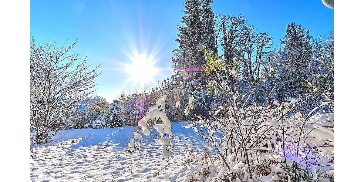 Grundstück Planegg - 2.950.000&euro; | Angebot:18789773