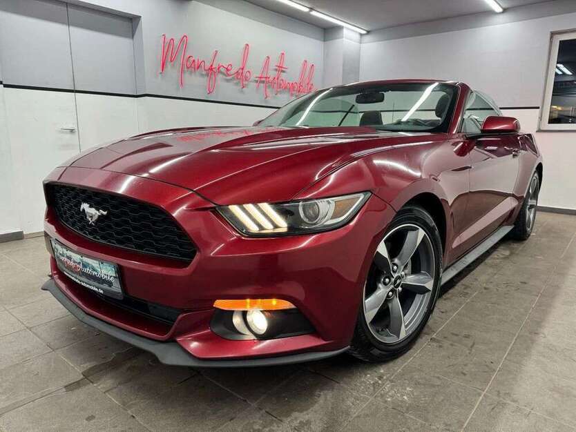 Mustang